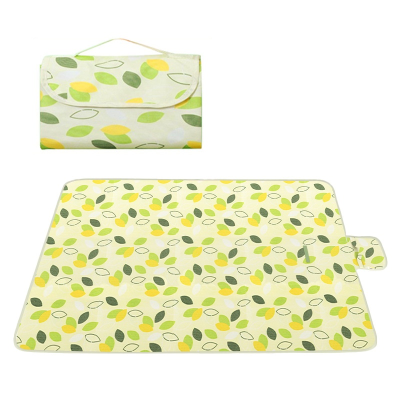 200x200cm Extra Grote Picknick - Outdoor Camping Rugs recensie en prijs
