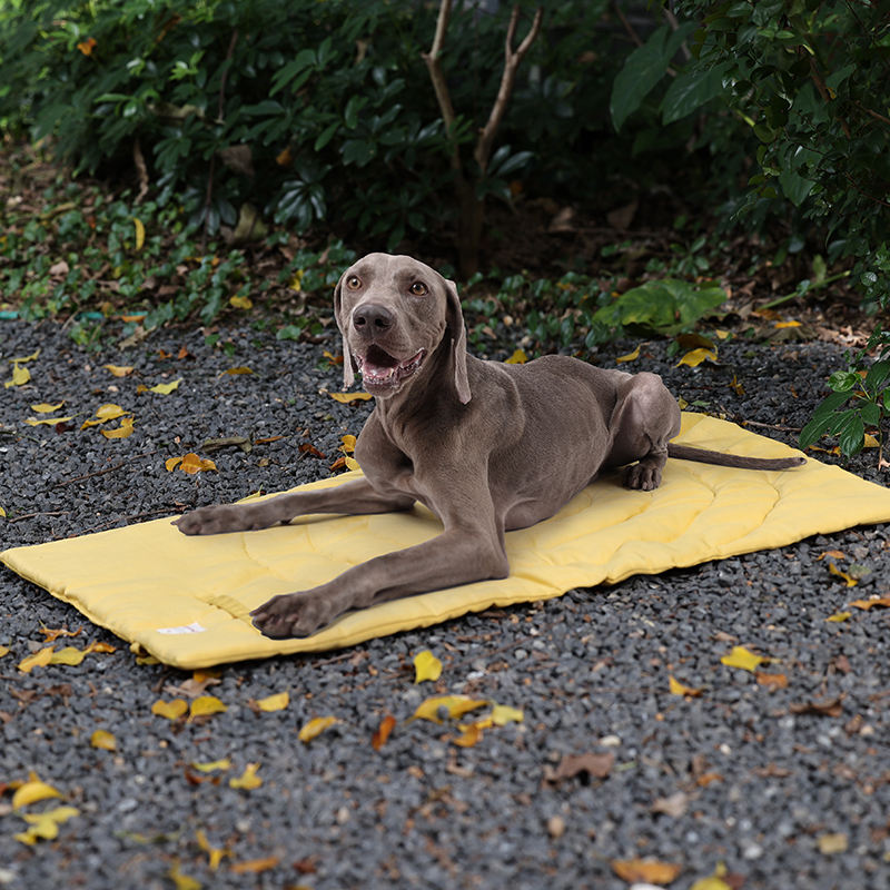 Draagbare Dierenmat Opvouwbare - Outdoor Camping Rugs recensie en prijs