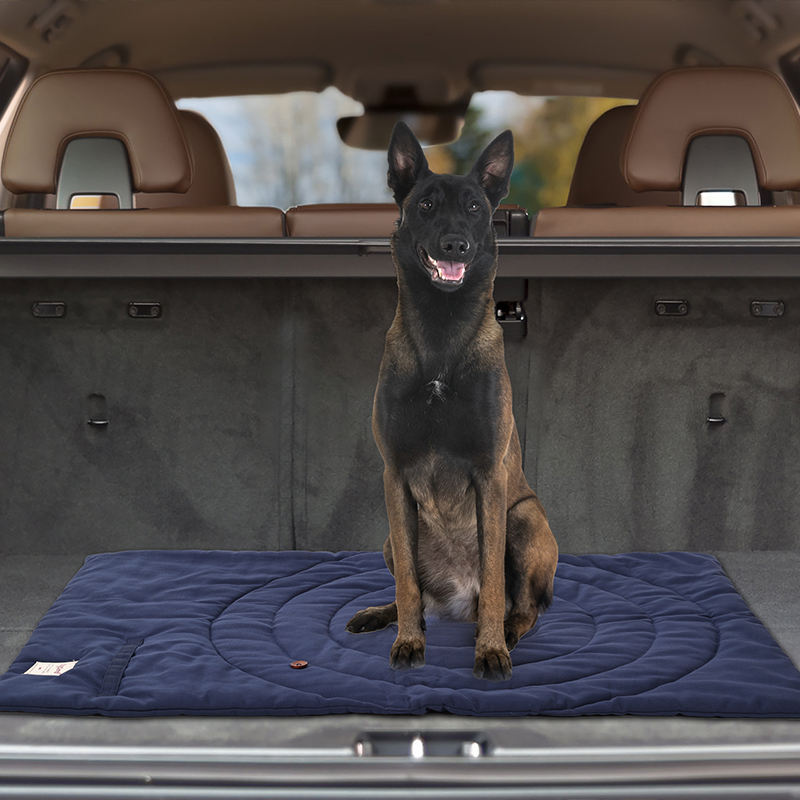 Draagbare Dierenmat Opvouwbare - Outdoor Camping Rugs recensie en prijs